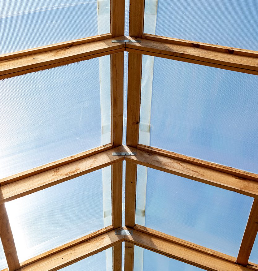 The roof of a greenhouse, barn or other agricultural building is made of transparent polycarbonate and wooden boards